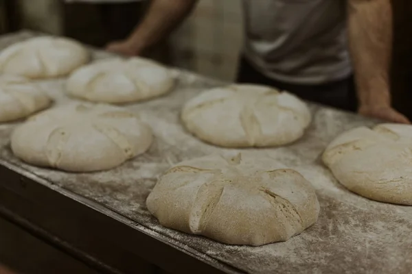 Privatbäckerei Brotbackofen Brotproduktion Brotbacken Ofen Werkstatt Für Brotbacken Bäckerei Der — Stockfoto