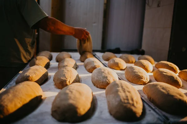Female baker kneading dough in a bakery