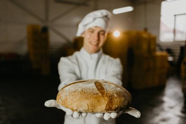 Steril giysiler içinde genç, mutlu bir kadın işçi. Yiyecek üretim fabrikasının içinde taze pişmiş kurabiyeler tutuyor..