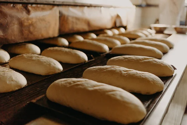 Baked Breads on the production line at the bakery