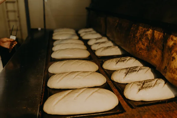 Pains Cuits Sur Ligne Production Boulangerie — Photo