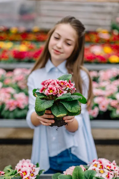Cute Little Girl Flowers Her Hands — Stock Photo, Image