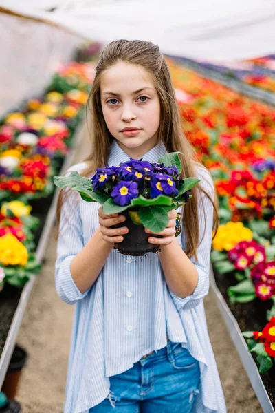 Cute Little Girl Flowers Her Hands — Stock Photo, Image