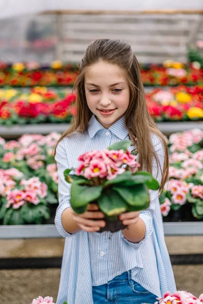 Cute Little Girl Flowers Her Hands — Stock Photo, Image