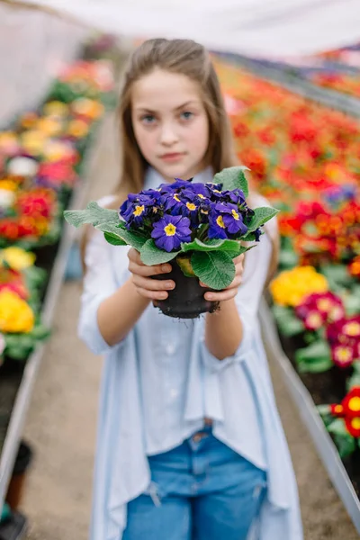 Cute Little Girl Flowers Her Hands — Stock Photo, Image