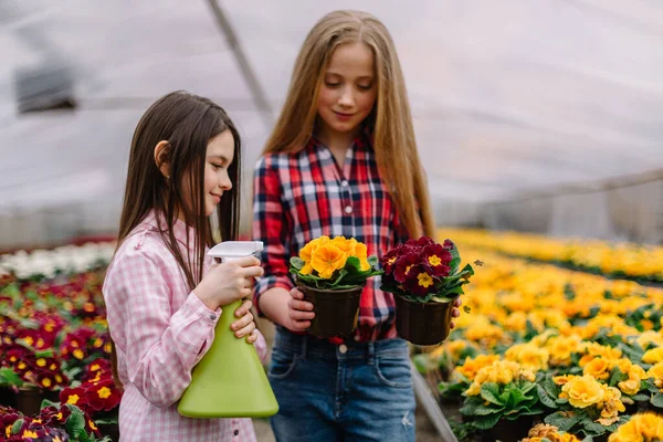 Girls Watering Flowers Garden — Stock Photo, Image