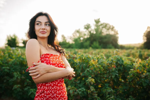 Hermosa Chica Con Pelo Largo Vestido Rojo Rosa Campo Narcisos — Foto de Stock