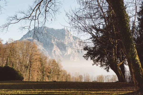 Parco con Mountain Traunstein sullo sfondo — Foto Stock
