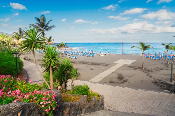 Puerto de la Cruz, Tenerife — Stok fotoğraf