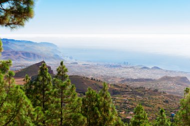 Tenerife kayalıklarla Adası
