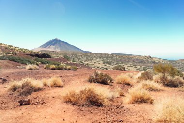 Volcan Teide, Tenerife Adası