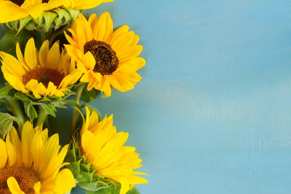 Sonnenblumen auf blau — Stockfoto