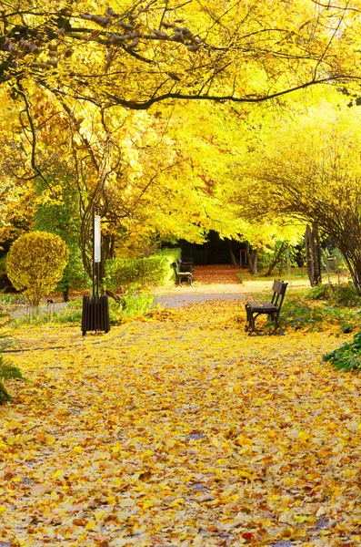 Höst park bana — Stockfoto