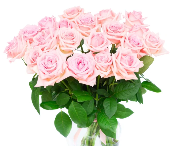 Rosa blommande rosor — Stockfoto