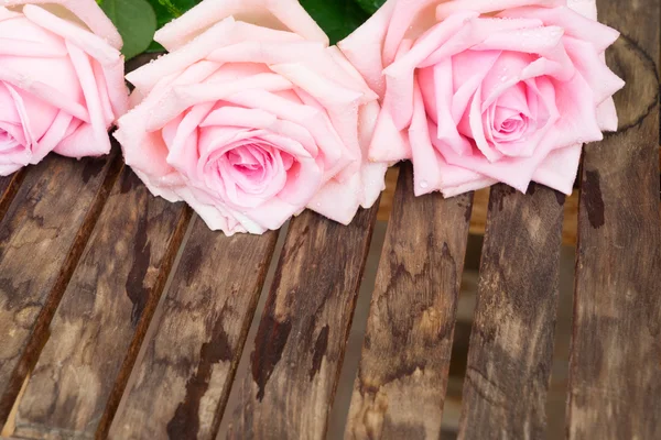 Rosa rosas florecientes en madera — Foto de Stock
