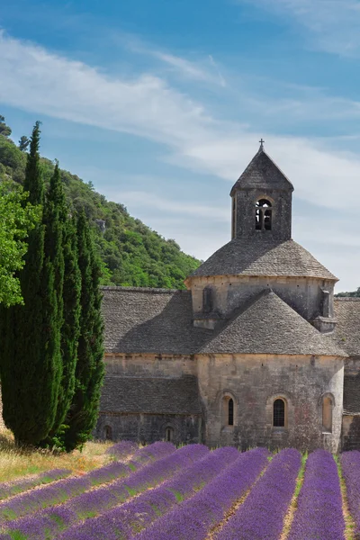 Abbey Senanque และ Lavender field, ประเทศฝรั่งเศส — ภาพถ่ายสต็อก