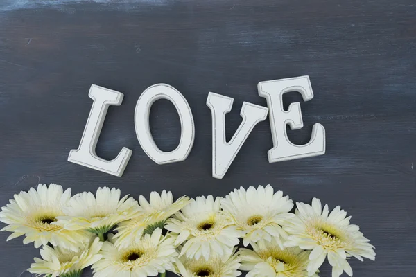 Flores de gerberas beige —  Fotos de Stock