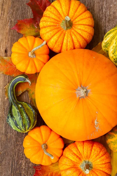 Zucca sul tavolo — Foto Stock