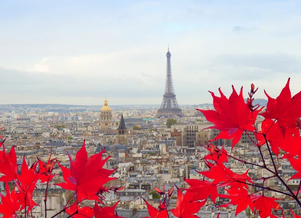 Panorama Paryża z wieżą Eiffla — Zdjęcie stockowe