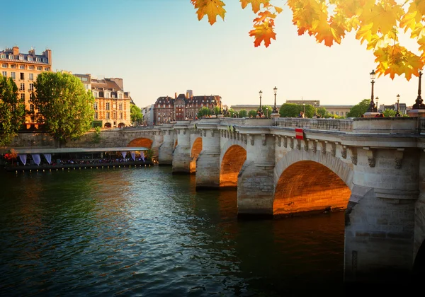 Pont neuf, paris, Fransa — Stok fotoğraf