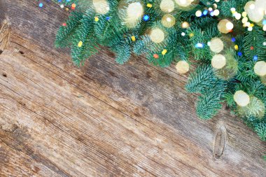 Noel taze yaprak dökmeyen ağacı dalları