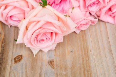 Ahşap üzerine Pembe çiçek açan gül