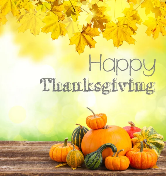 Happy thanksgiving day — Stockfoto