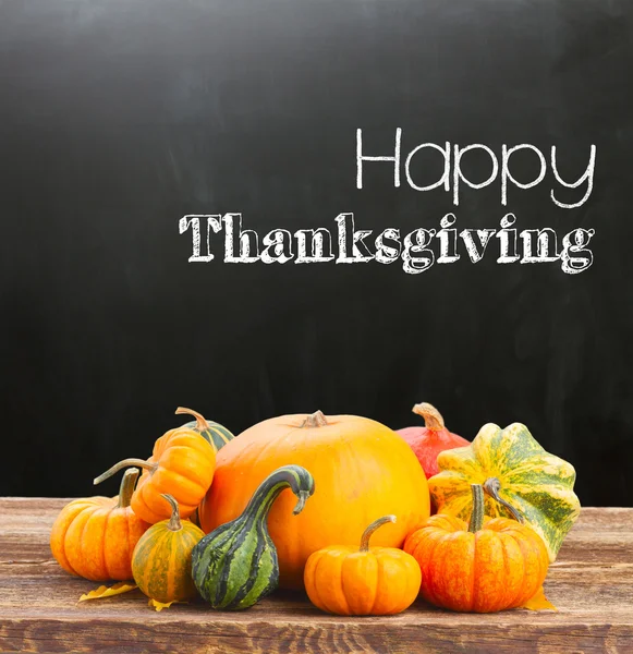 Happy thanksgiving day — Stockfoto