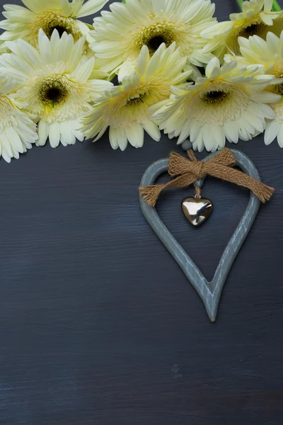 Fiori di gerbera beige — Foto Stock