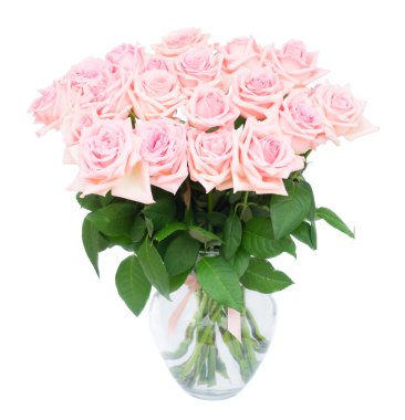 Pembe çiçek açan güller