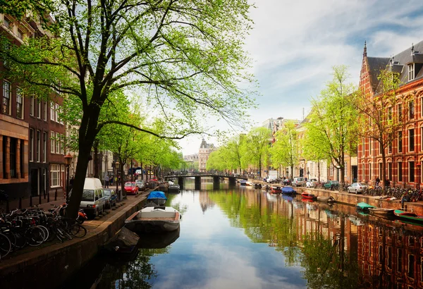 Набережная канала, Амстердам — стоковое фото