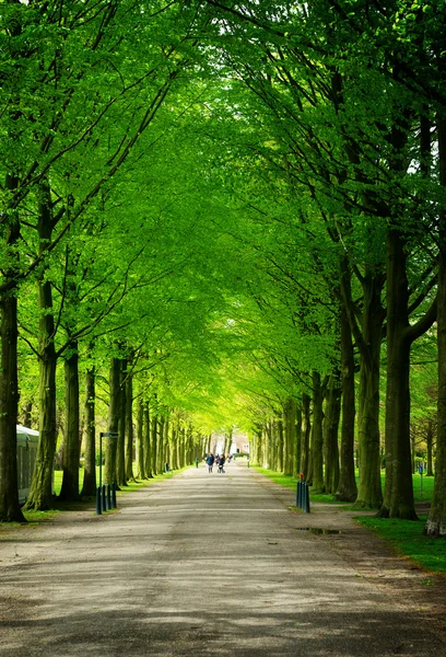 Clingendael park, Den Haag, Países Baixos — Fotografia de Stock