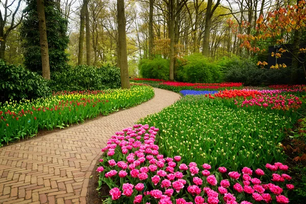 Curve of path in garden — Stock Photo, Image