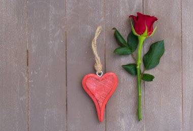 Kırmızı gül natürmort