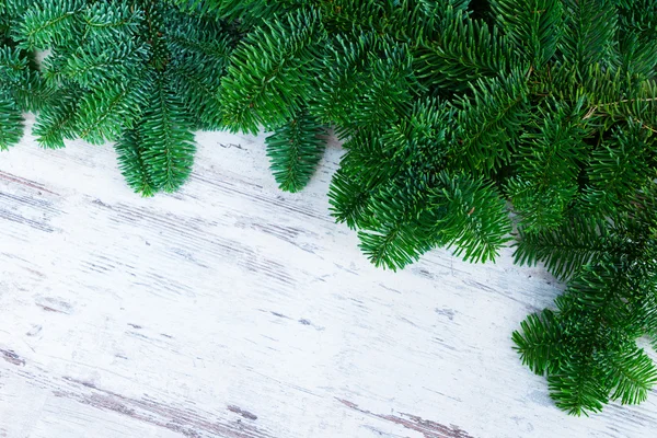 Christmas färska vintergröna träd grenar — Stockfoto