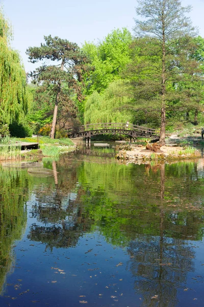 Ogród botaniczny we Wrocławiu, Polska — Zdjęcie stockowe