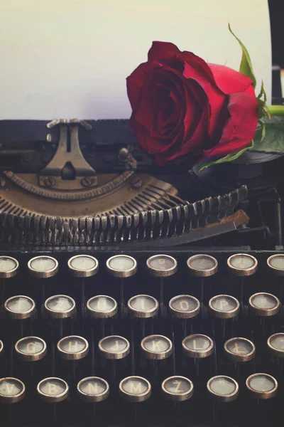 Röd ros på skrivmaskin — Stockfoto