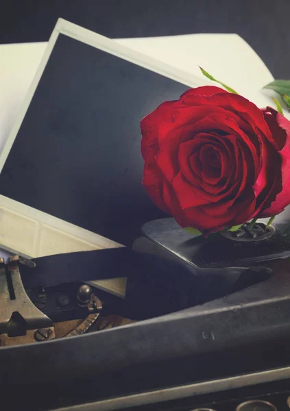 Κόκκινο τριαντάφυλλο σε γραφομηχανή — Φωτογραφία Αρχείου