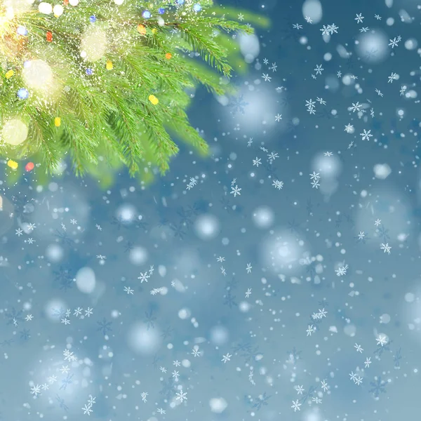 Met fir tree en sneeuw — Stockfoto