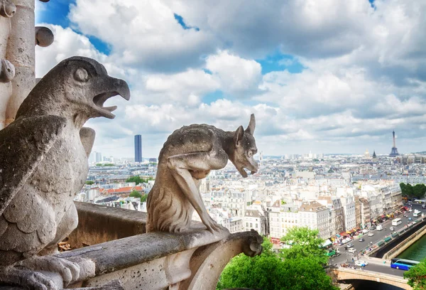 Gargoyle of Paris — Stock Photo, Image