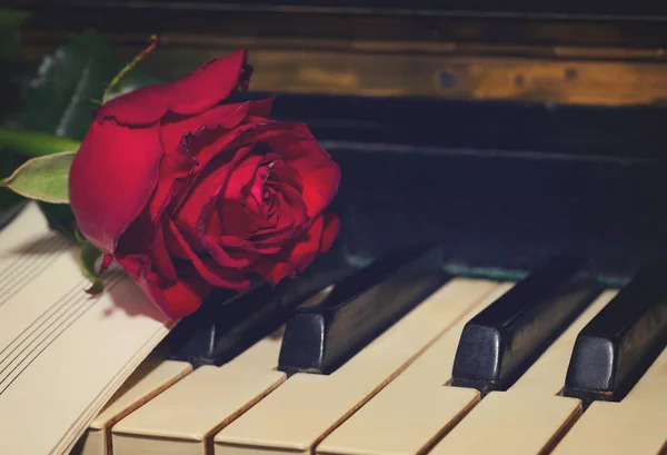 ピアノでノートのペーパーで赤いバラ — ストック写真