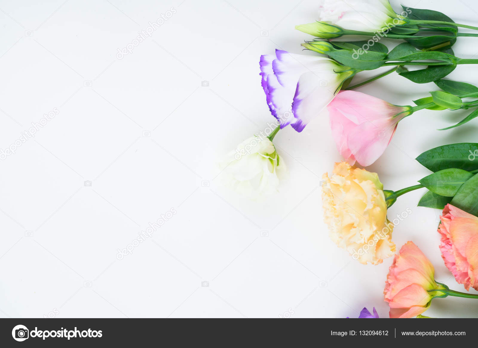 Flores rosas, blancas y violetas: fotografía de stock © Neirfys #132094612  | Depositphotos