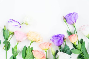 Pembe, beyaz ve mor çiçekler