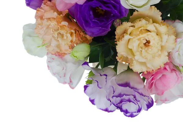 Rosa, vita och lila blommor — Stockfoto