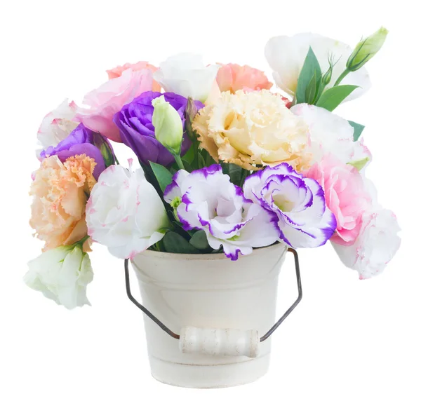 Rosa, weiße und violette Blüten — Stockfoto