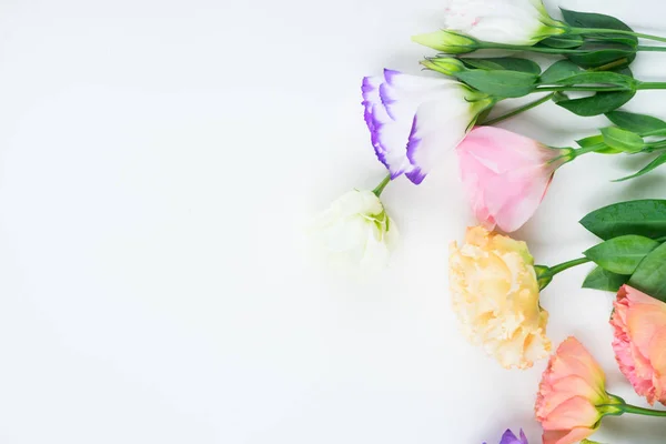 Flores rosas, blancas y violetas — Foto de Stock