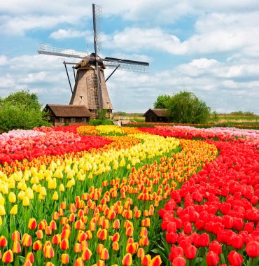 Hollanda rüzgar değirmenleri