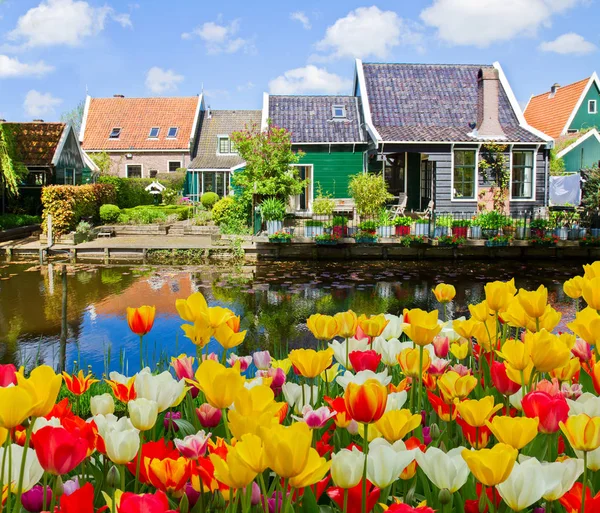 Altstadt von zaandijk, Niederlande — Stockfoto