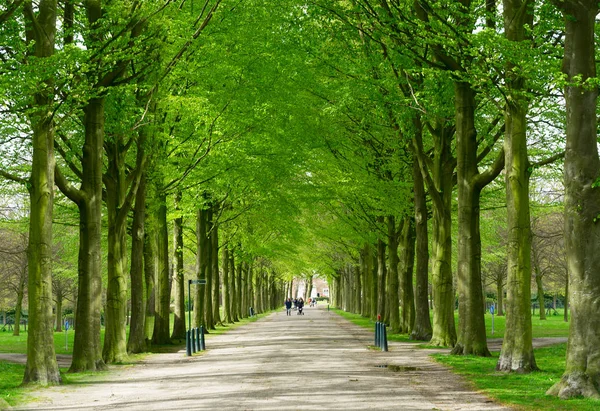 Clingendael park, Den Haag, Hollanda — Stok fotoğraf