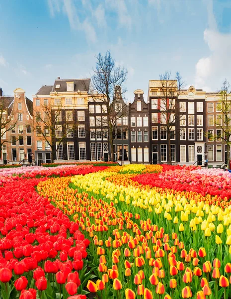 Hollanda, Amstardam 'ın Evleri